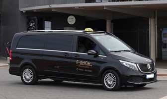E-delCar